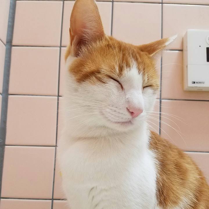 A7f875e7 96d0 43e0 8608 bb172fa4b1b8