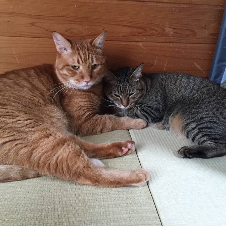 A7f88e87 0825 4c02 b5e1 fd294cff919c