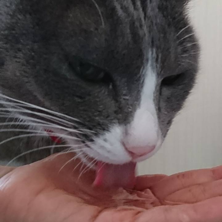 A7f91391 79d3 451c 8797 7f1424a2354d