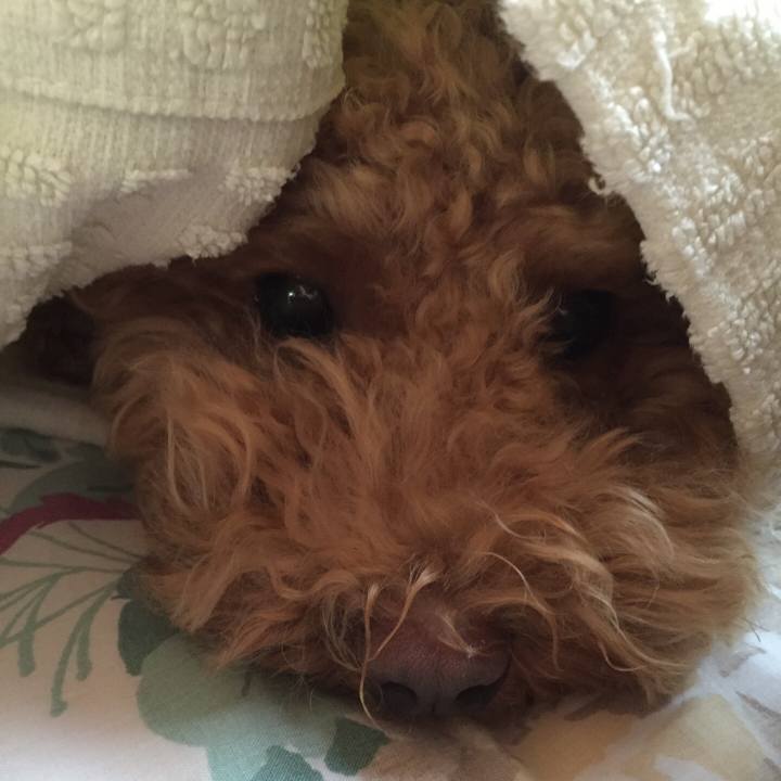 A7f939bc ba76 46a6 9ada 4caa6e493557