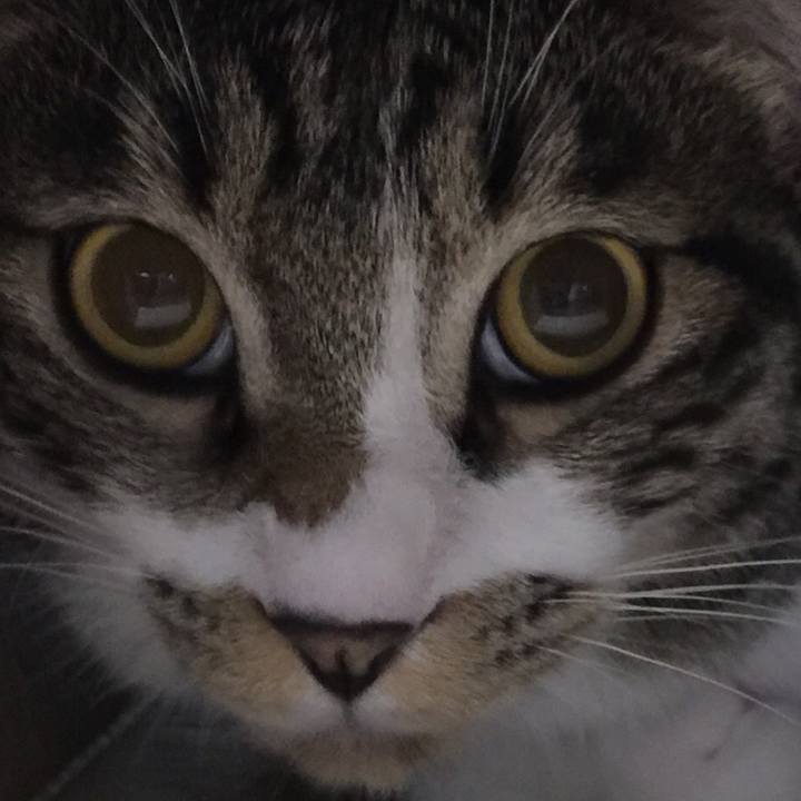 A7f9b3f3 f466 4988 9a12 55d8171d1890