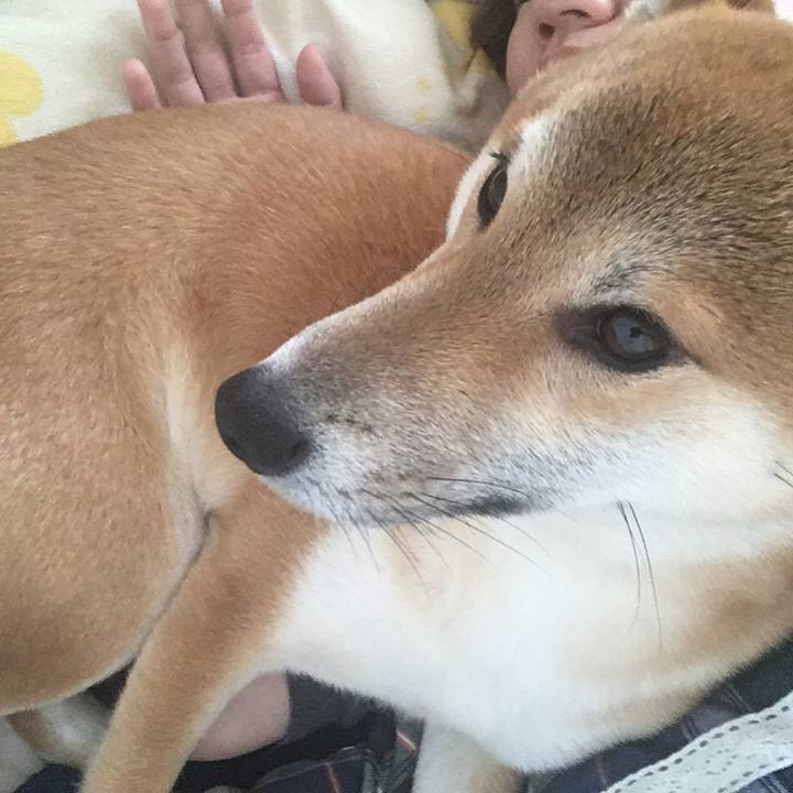 A7f9fd79 330a 40f5 846d 0bd00be3460a