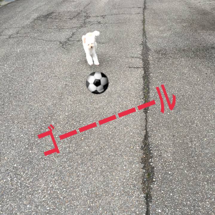 A7fa5e19 5f61 44c7 ae87 39f71c5e0c04