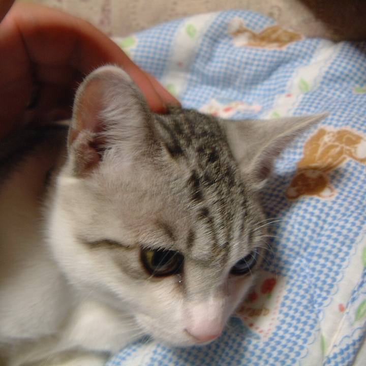 A7faa386 706f 4618 a09c dc1544b2b517