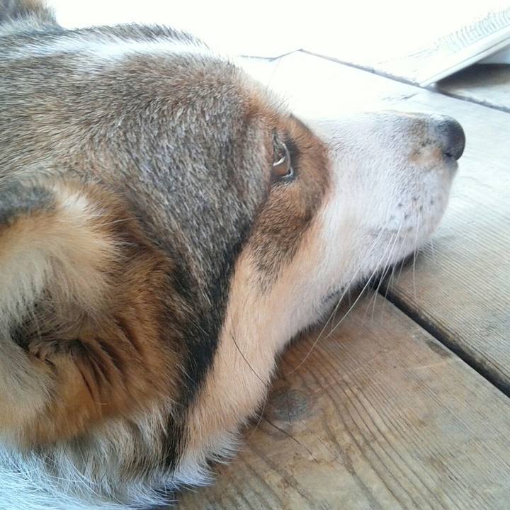 A7faafd0 a874 4e85 8f5a 027a18925efe