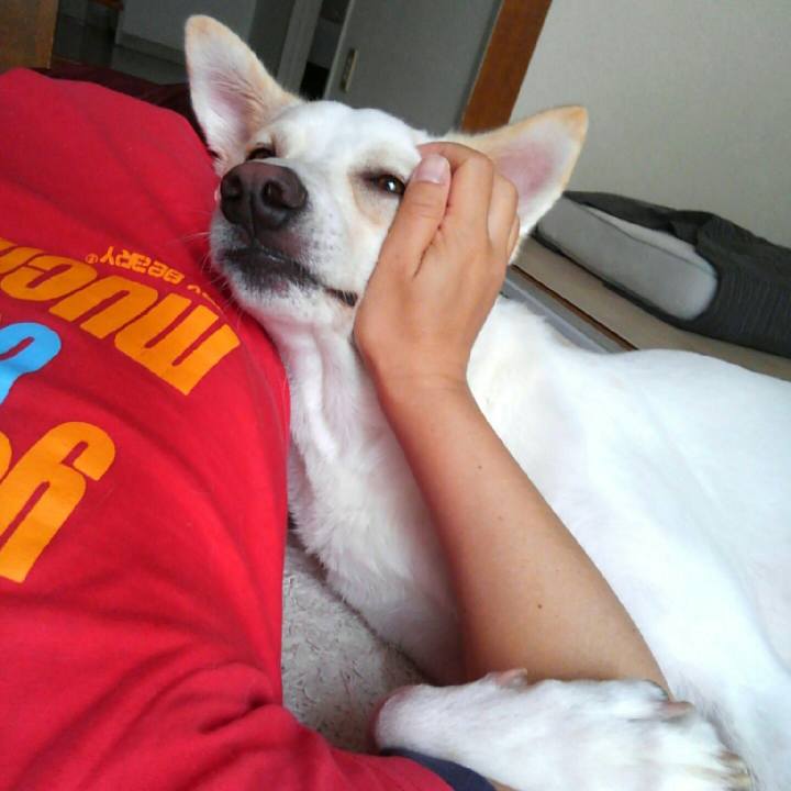 A7fb5719 224b 4288 8e17 6540cc42d4e4