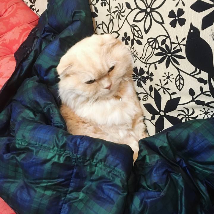 A7fc4af1 c00b 44da 9640 33ced0a799c6