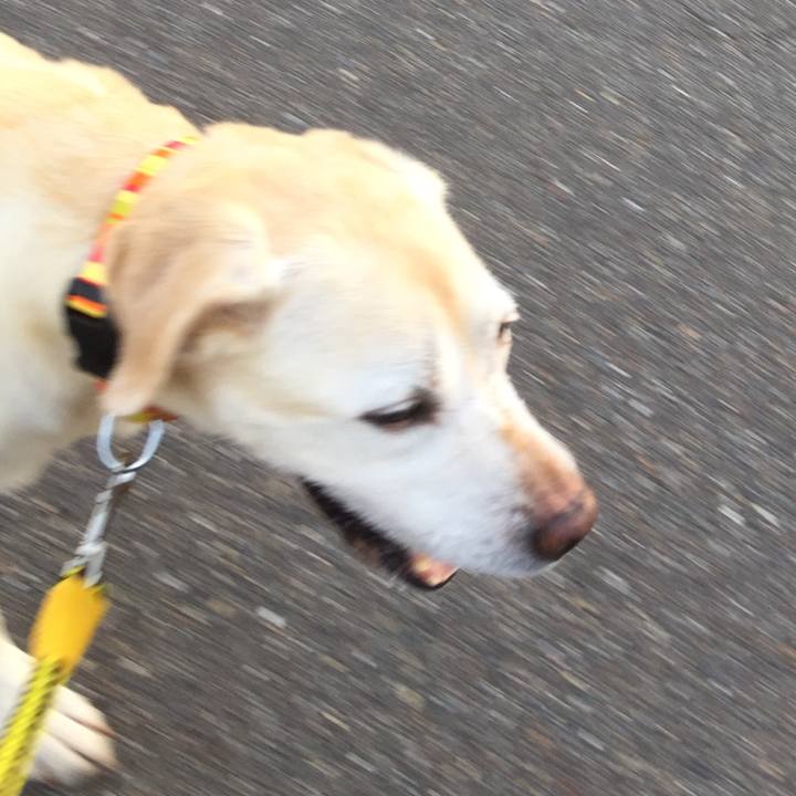 A7fcb4d7 031a 4b7c bd32 88002a12c304