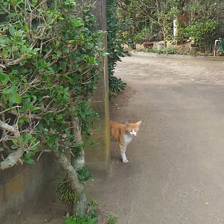 A7fcde4f 160a 4ff6 a022 92ec2a5468b8