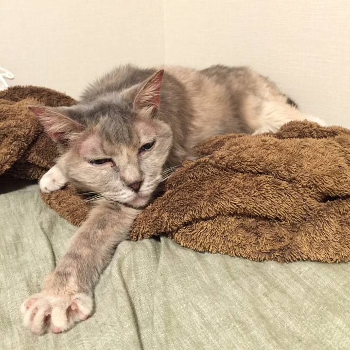 A7fcefed 5c84 4f6f 945d 1542d0cb820f