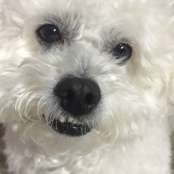 A7fd1ab1 a563 41a1 8c48 973c9c614e63