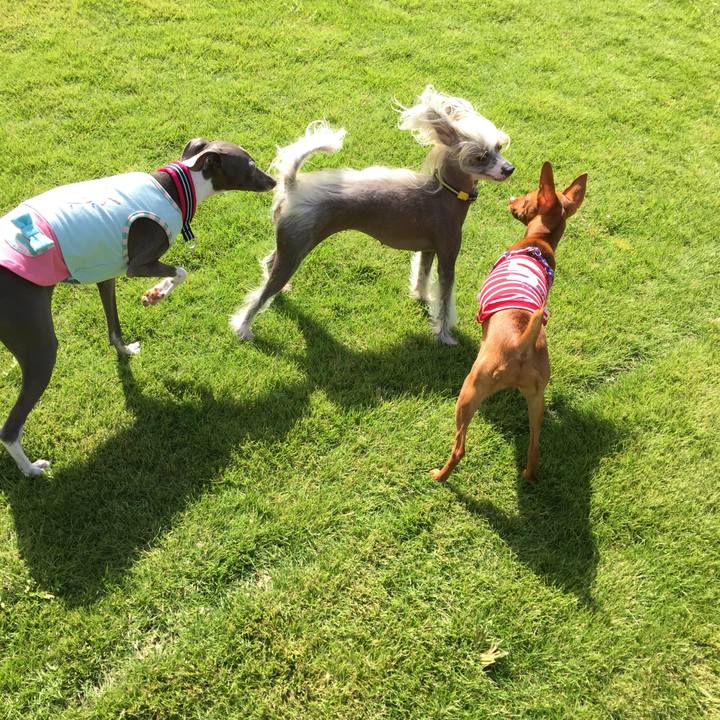 A7fd3bef 560d 47fc b90c e7bafdd42af4