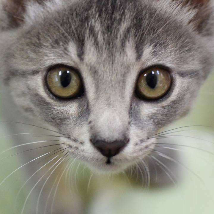 A7fda5a4 1e36 4388 b4d3 ac15c32fd96d