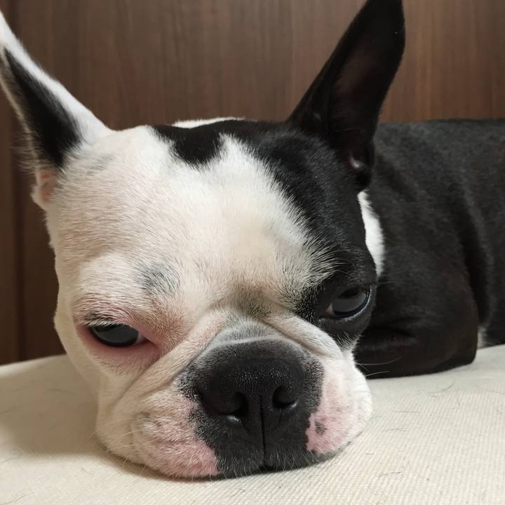 A7fe93f4 d763 4244 9f5d e4f55dfb9ada