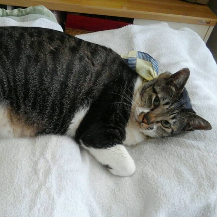 A7ff1bcf fbb4 409c 8db4 0138cc5fdf3d