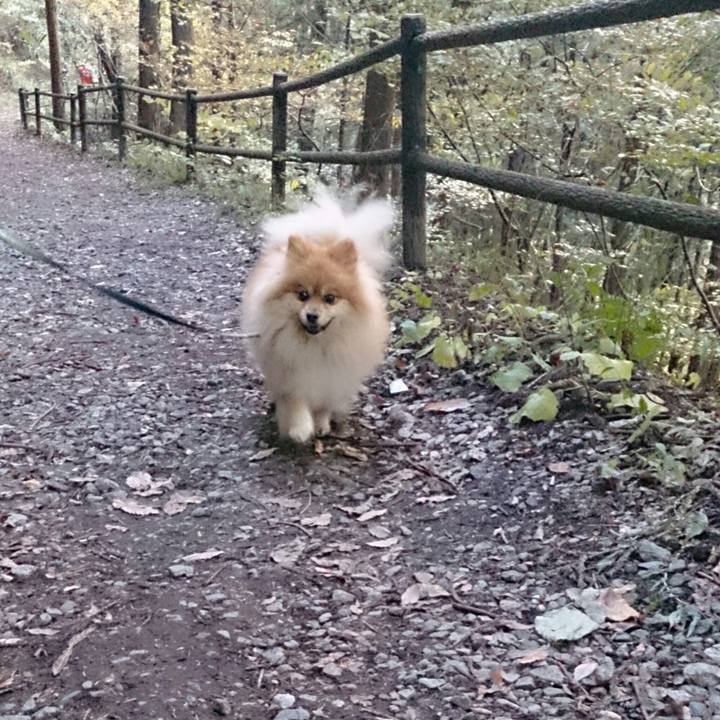 A8003518 998e 493b 8ec6 16b102fd0602