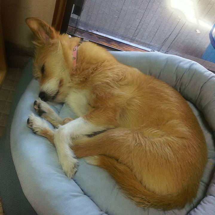 A80087cc bcb0 4bf0 8836 2cd1d9bffb57