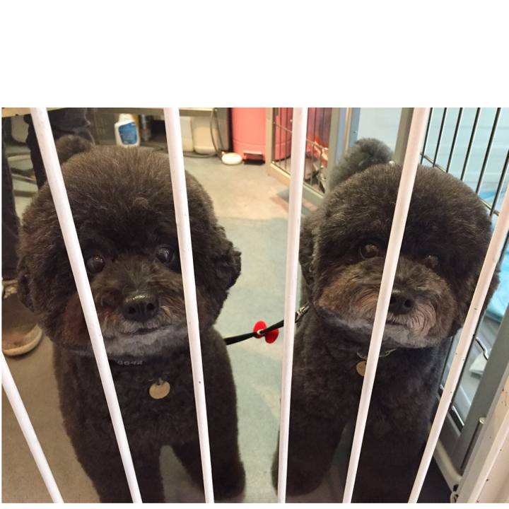 A8008a0d b38b 4de1 a833 d2d1c2145742