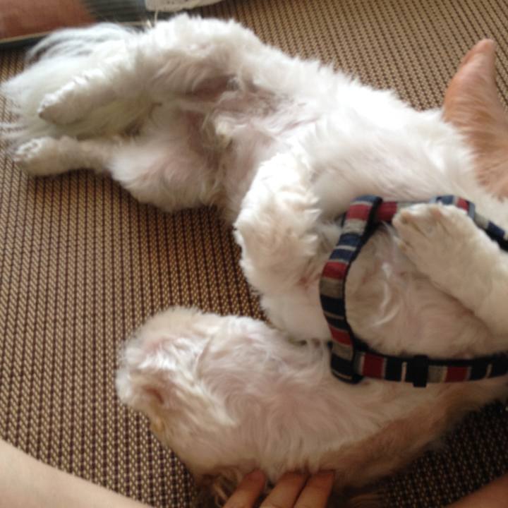 A800c70b 4d83 4f75 9ee7 d89d3acee586