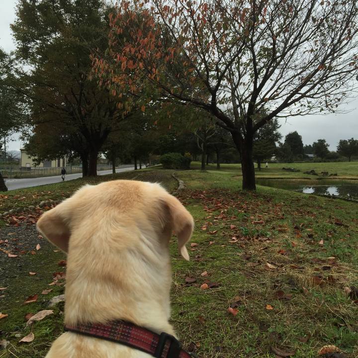 A800d3c2 01ed 4b39 a18a 34f17ac2880d