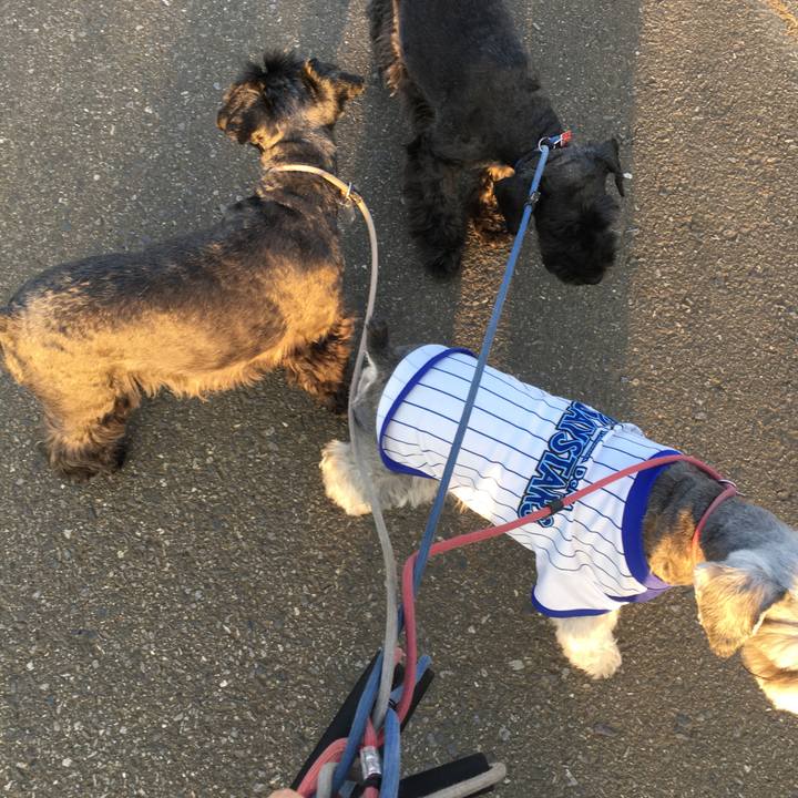 A8029d8d 57b6 475c a59a a79348a2fbeb