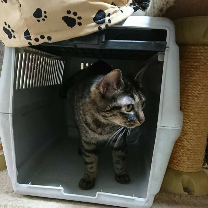 A8045032 3c7e 4384 a248 5470b4f6d231