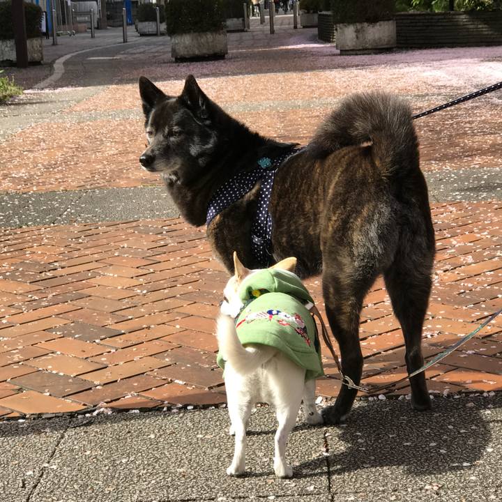 A8047e50 6315 4874 b608 b69f5cc8e2ed