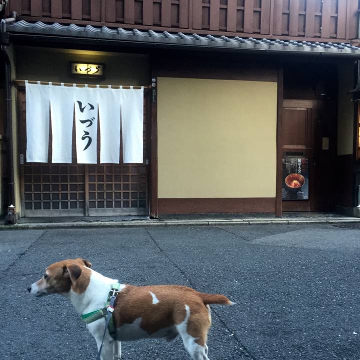 A805398b 1ad3 42b4 a85f a7982728d218