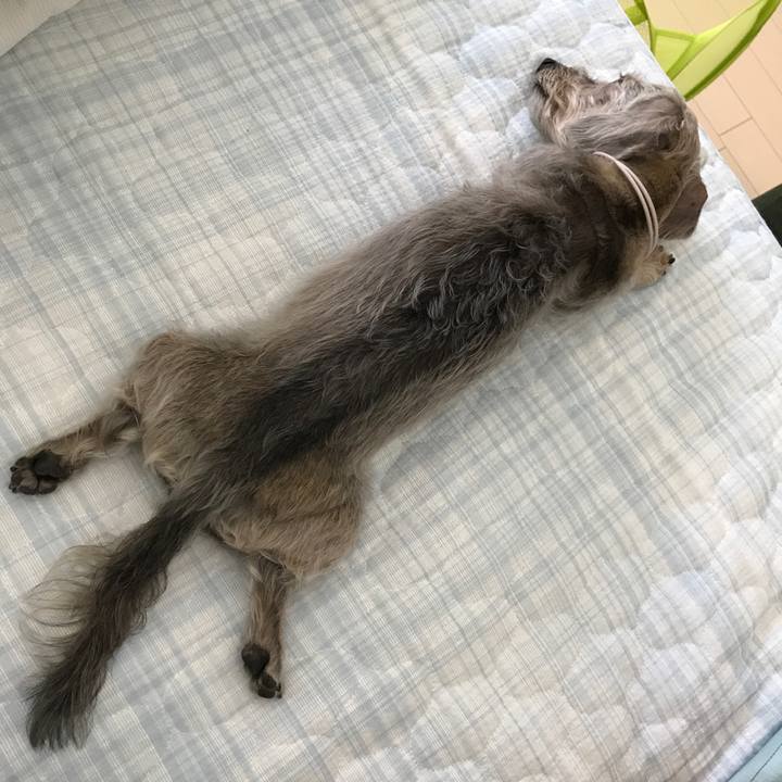 A80565bb ac80 4b53 a208 29a70e297afb