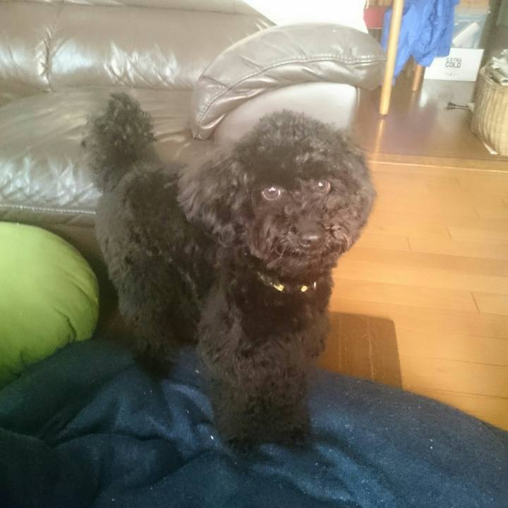 A805875b 9b1c 4594 8ce2 daa6f8af3aa1