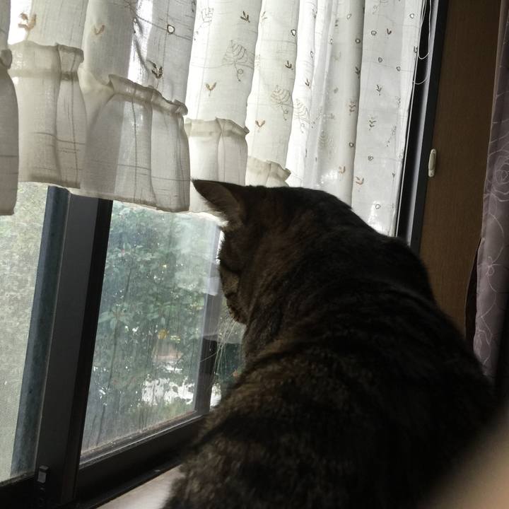 A8058d1f d58b 450e 8ea8 6759f273c44d