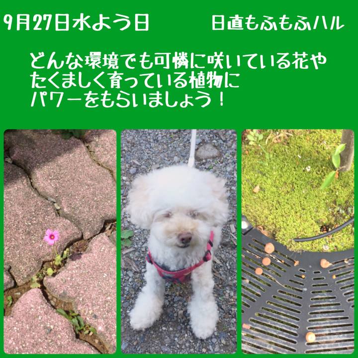 A80595ff a0d7 400c b368 7d8bdf7090aa