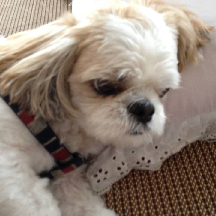 A805f9f8 7e16 4834 96ed de93f4b0cba8