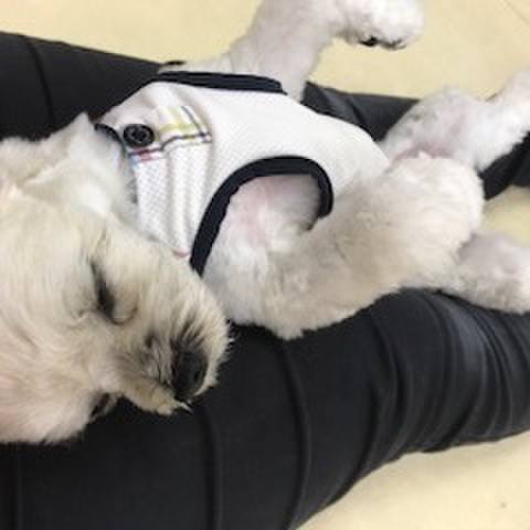 A806119f f7d1 4968 9a83 e436f0fe60c9