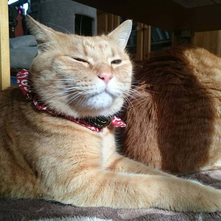 A8062e74 7a06 4445 82da 2c5912609eb2