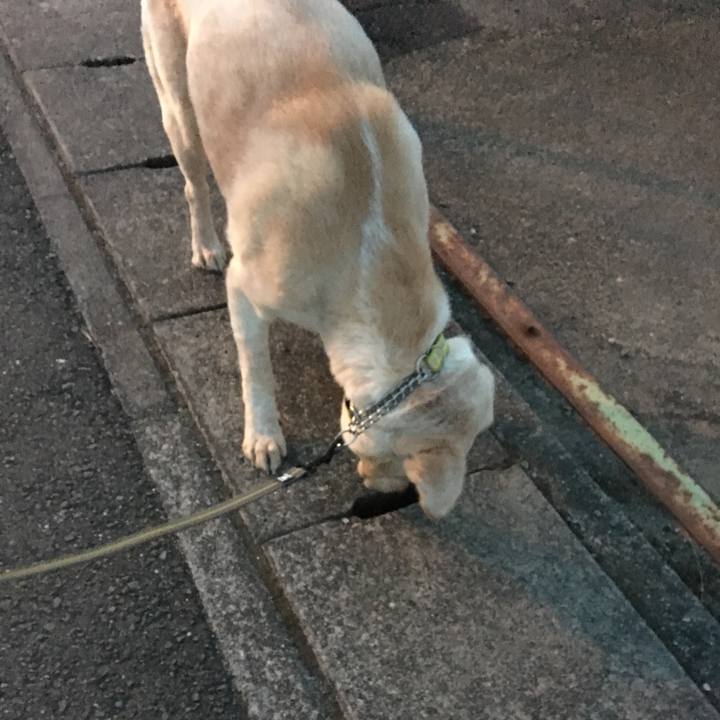 A80682ae e81b 476d 8cb9 eacad282a56b