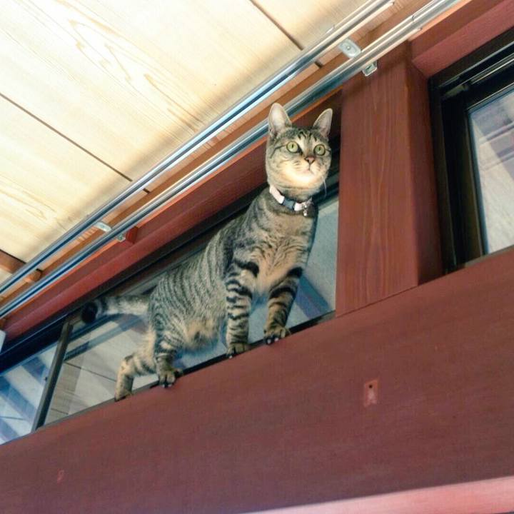 A807e80e 816b 4e9d 8667 6f5308d9212a