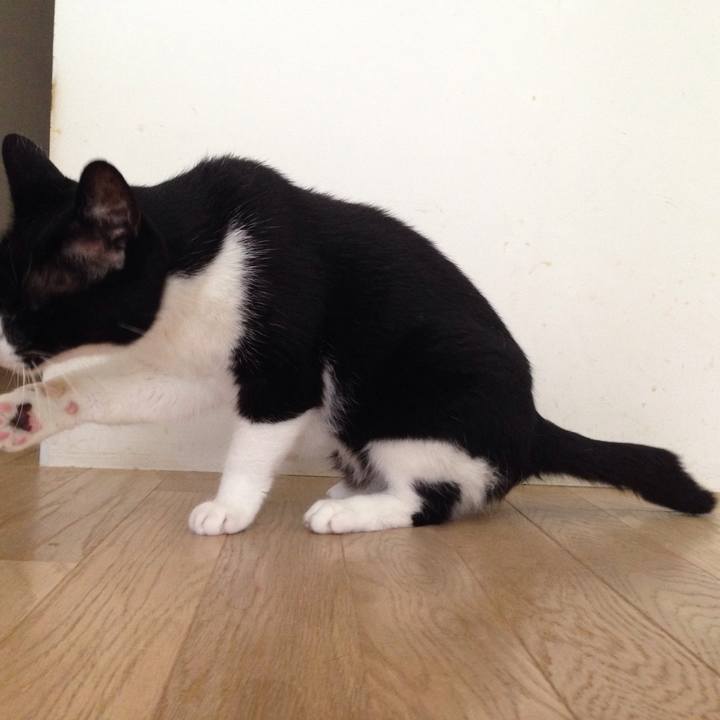 A807f89a eb8b 44fc a6b8 46a9907fdba4