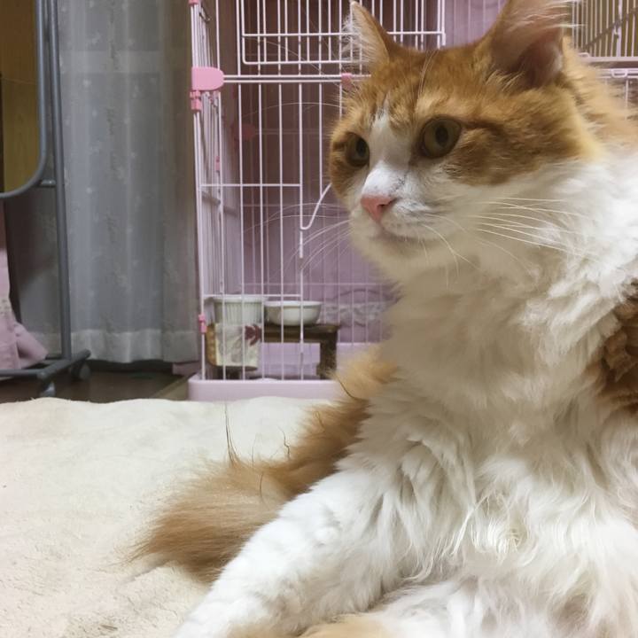 A808501a ee32 47b9 ac1f 1485e9d2c874