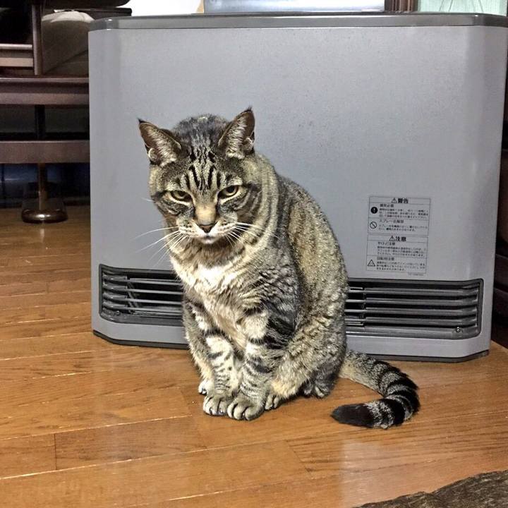 A808507a 5e17 42f5 a384 7c253d669e3f