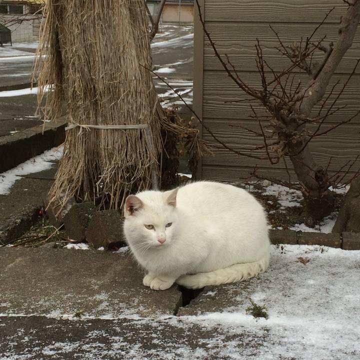 A8088aa8 7240 43a4 a41a 024a1bd0b7b8