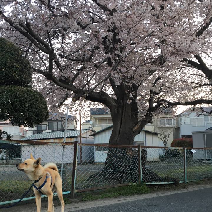 A808f8b2 ea18 4f74 8aa5 b47bb2d3aa31