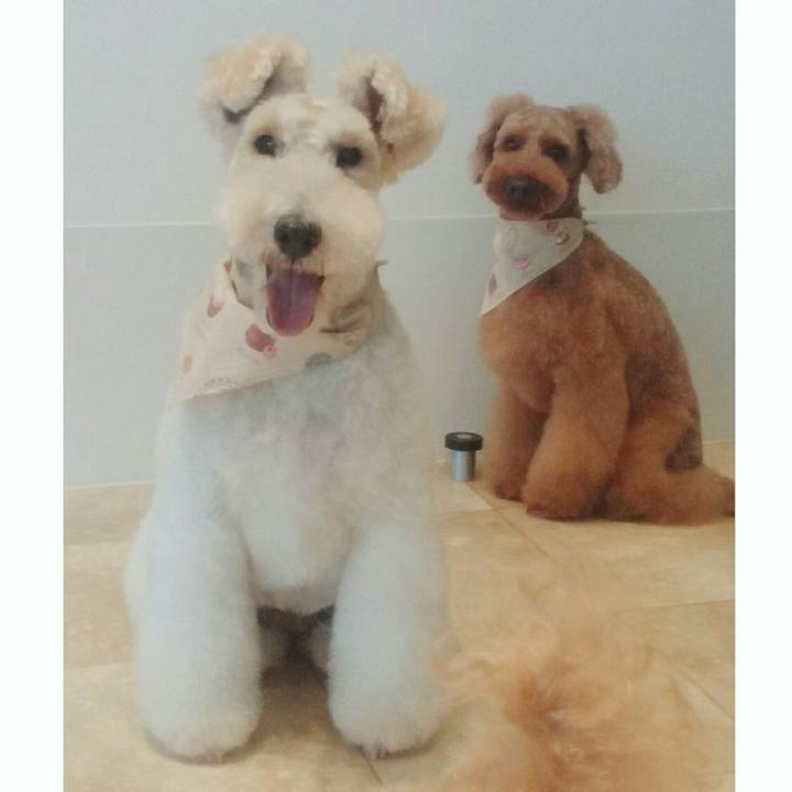 A8093ae7 43a5 487b aa92 50fac6a1e88f