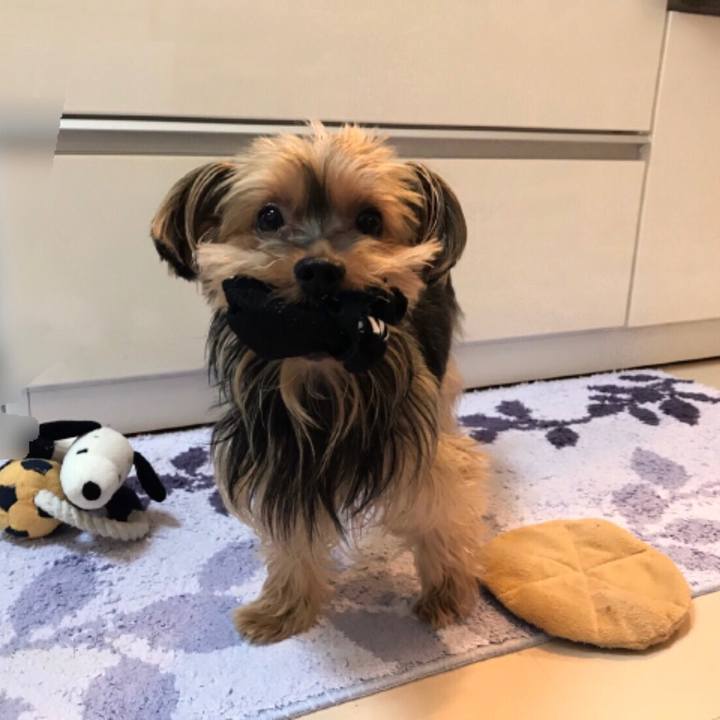 A8096cb6 6bf9 4bb3 a83b 9b0cb131ffd8