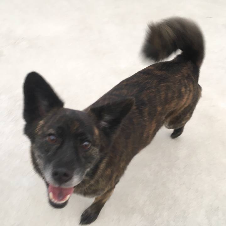 A809c230 b61f 4810 8732 a07462597441