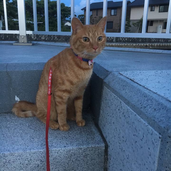 A80a19e7 3cb2 481f b8d3 225807d91ea0