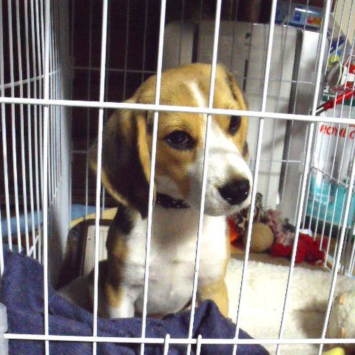 A80a3d3b 061c 4248 bc01 259cd7c0bbff