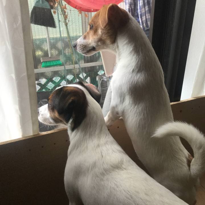 A80a589d 21a1 45db bcc3 aca4e2555bbf