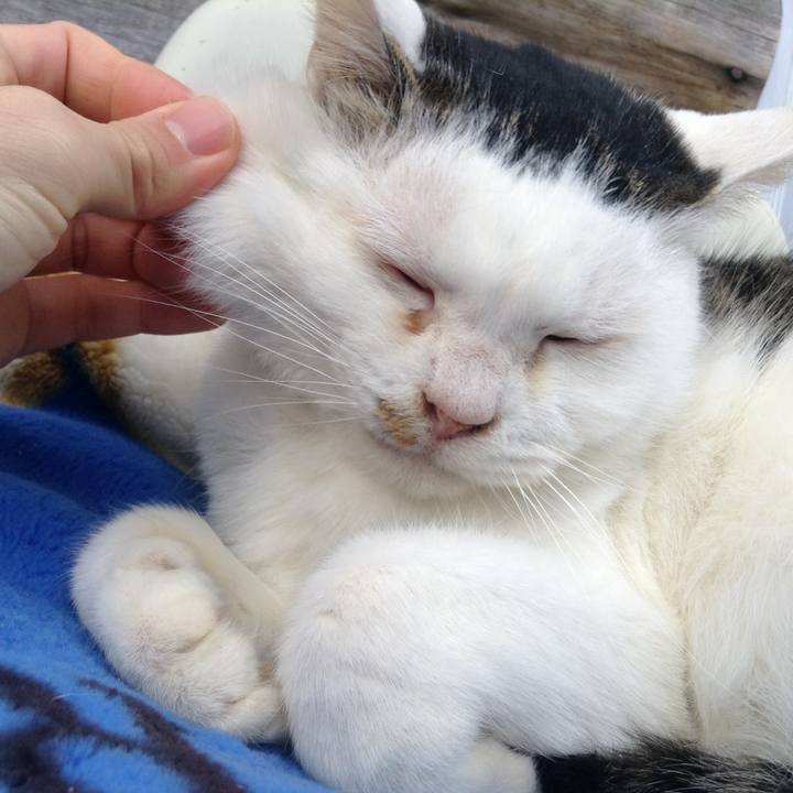 A80a629c df7c 4b6e bd9c 625356194e34