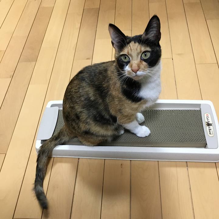 A80a7319 7485 4b78 9aaa 8bcd72f83e74